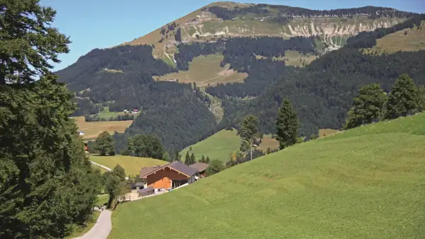 Vordertrattberg Alm